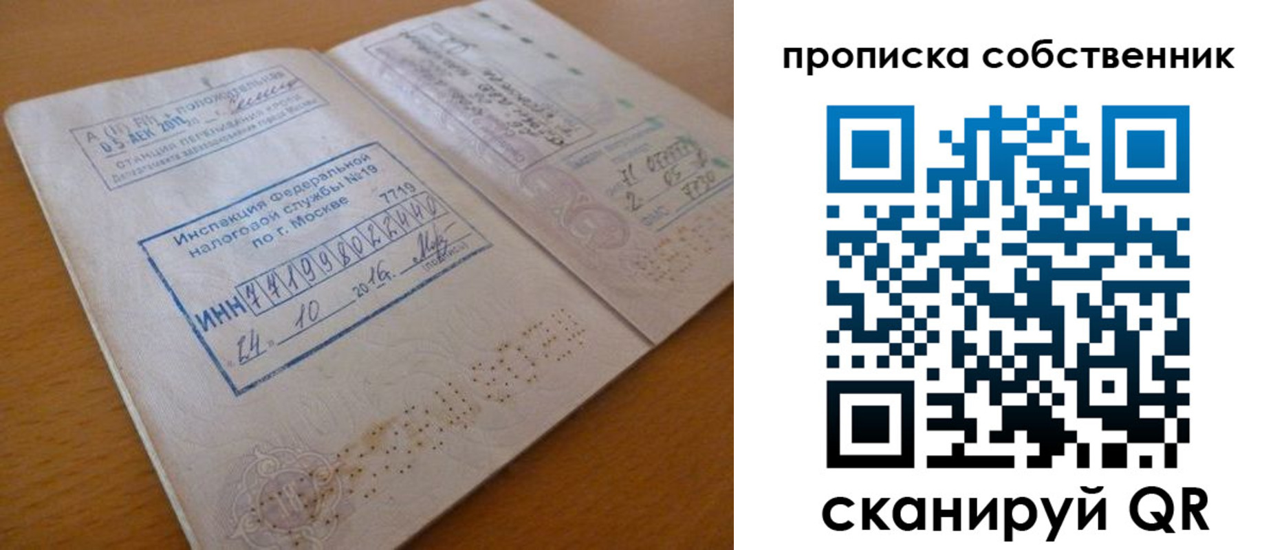 прописка для школы в Новгородской области