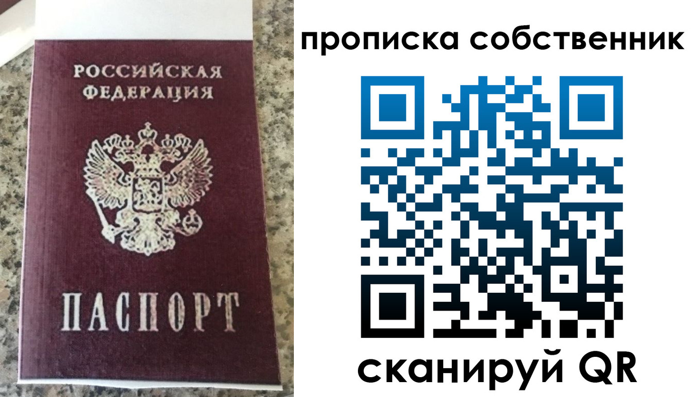 прописка для школы в Новгородской области